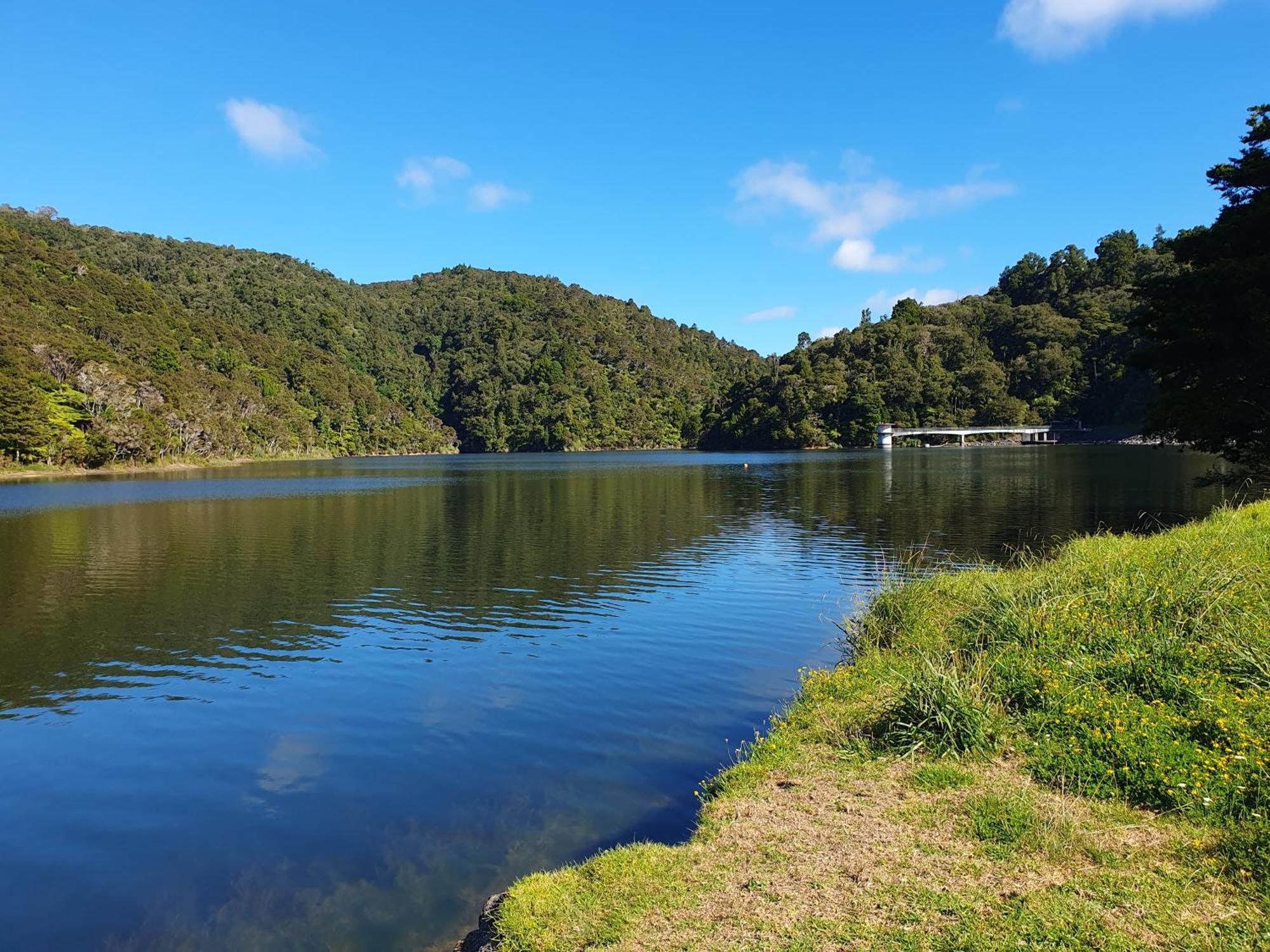 Quiet. Comfy Oasis In Whangarei Exterior foto